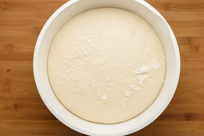 Fresh yeast dough - SunCakeMom