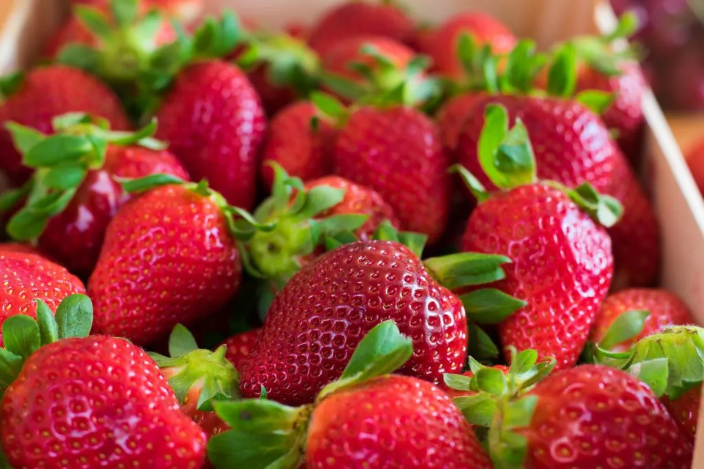 Sugar-free-strawberry-jam-recipe-Process-16-SunCakeMom