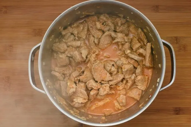 Pork onion pot - SunCakeMom