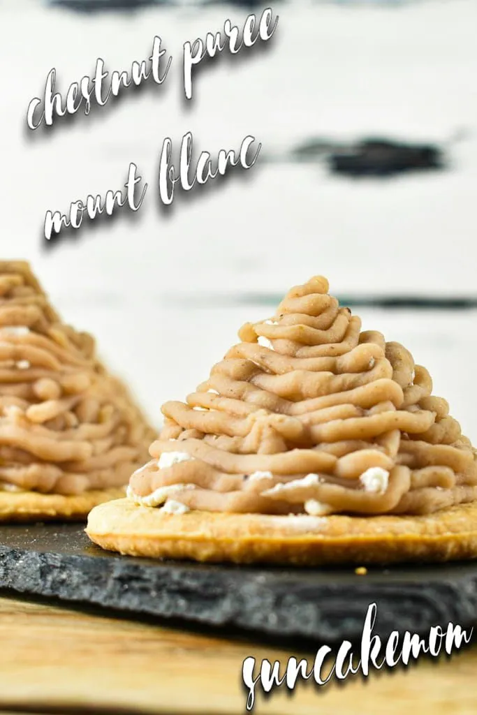 Chestnut-puree-recipe-or-The-mount-blanc-dessert-Pinterest-SunCakeMom