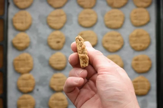 Hazelnut cookies recipe - SunCakeMom