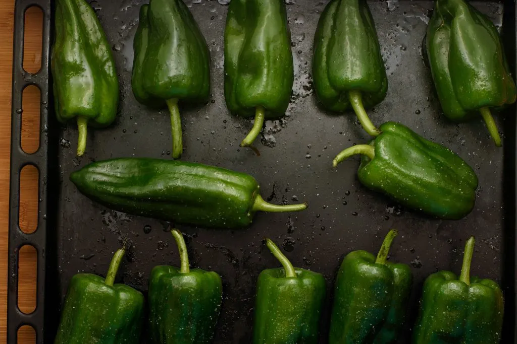 Stuffed poblano peppers recipe - SunCakeMom