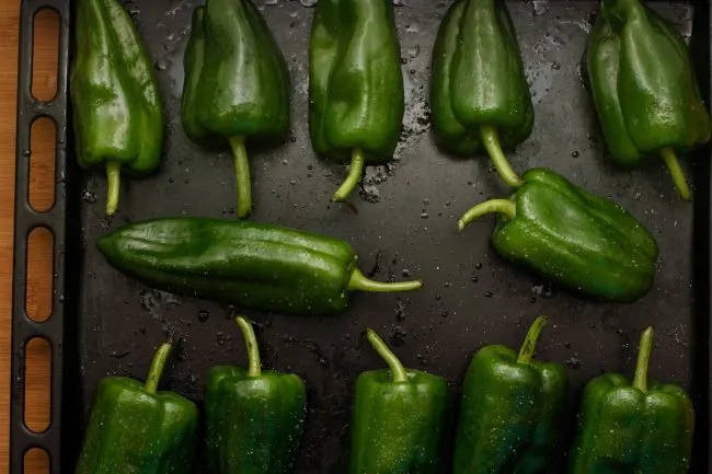 Stuffed poblano peppers recipe - SunCakeMom