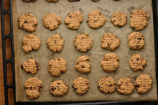 Peanut butter chocolate chip cookies - SunCakeMom