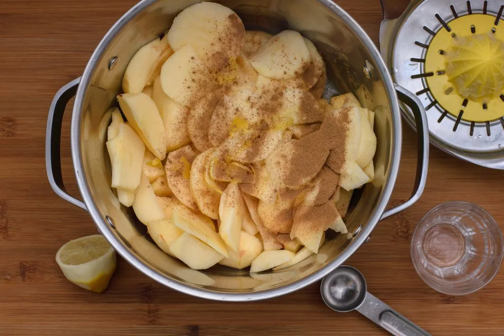 Applesauce cake - SunCakeMom