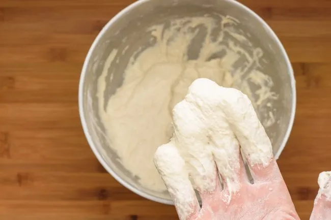 Flour yeast water wet dough -gp- SunCakeMom