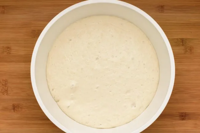 Flour yeast water wet dough -gp- SunCakeMom