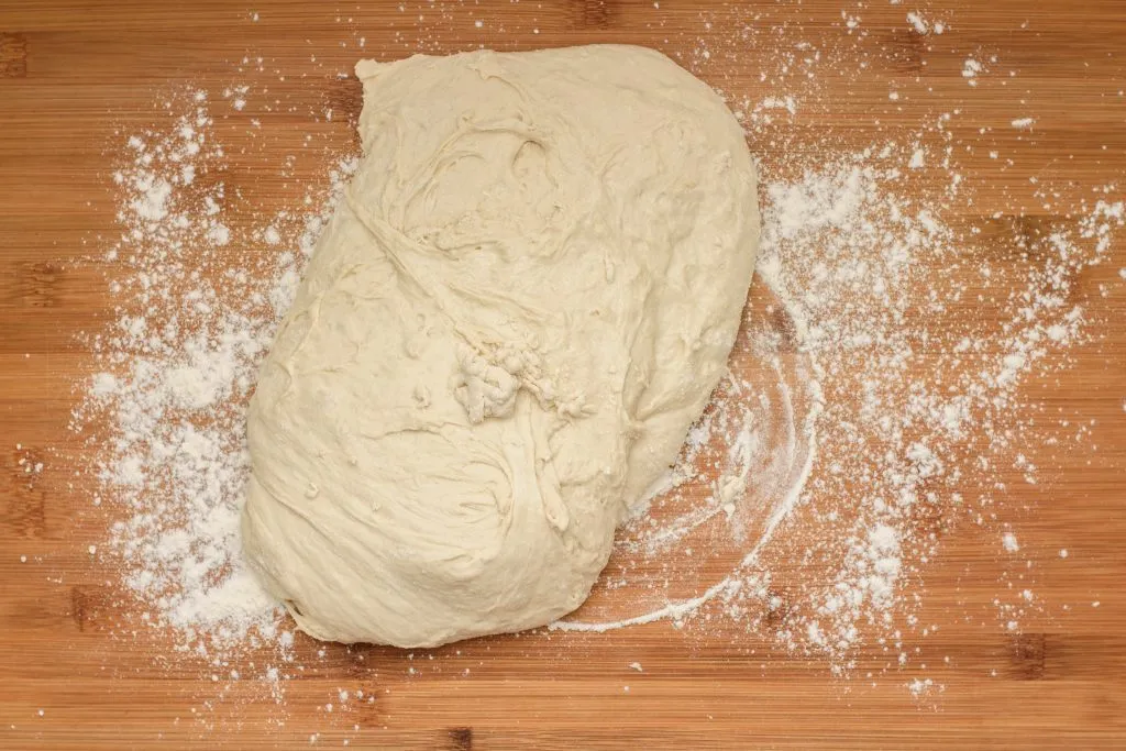 Flour yeast water wet dough -gp- SunCakeMom