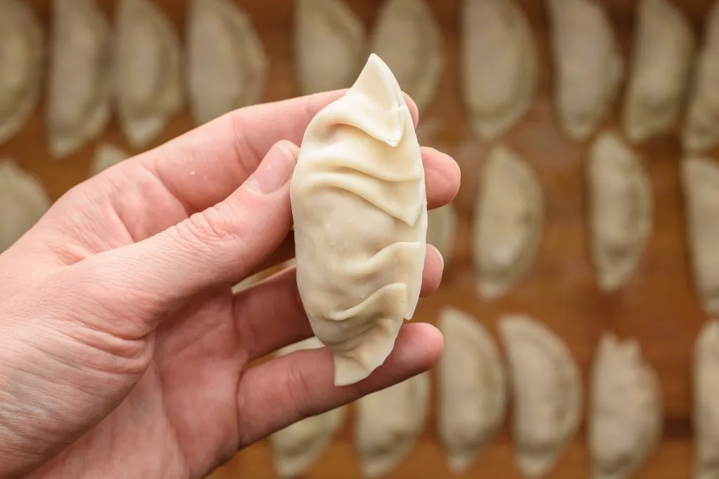 Gyoza recipe - SunCakeMom