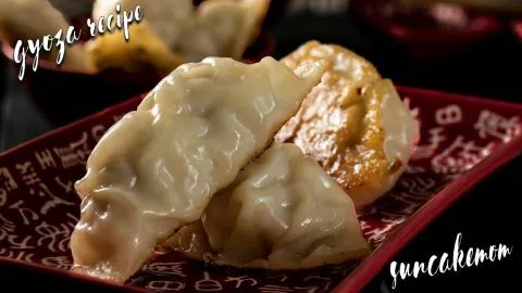 Gyoza-recipe-g16x9-SunCakeMom