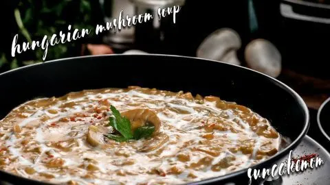 Hungarian-mushroom-soup-recipe-g16x9-SunCakeMom