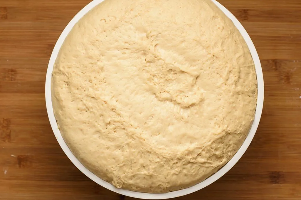 Flour-water-starter-egg-yeast-dough-knead-raise--gp--5-SunCakeMom