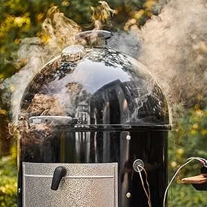 Weber Smokey Mountain Cooker